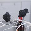 Halloween Black Crow Decoration Realistic Feathered Crow Prop Artificial Fake Raven Birds for Yard Tree Garden Patio Indoor Outdoor