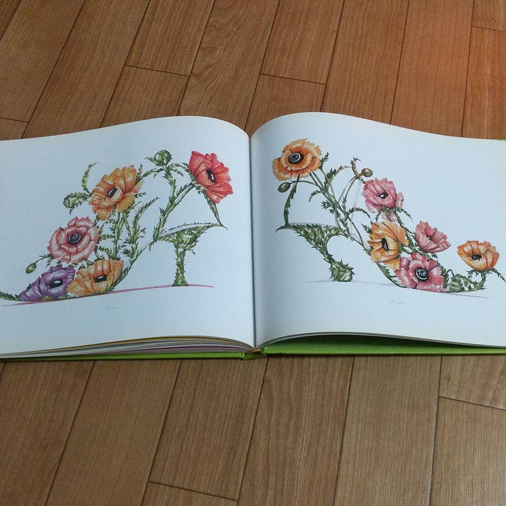 [USED] Used Books Botanical Art Flowers Plants Shoes Botanical Illustrations