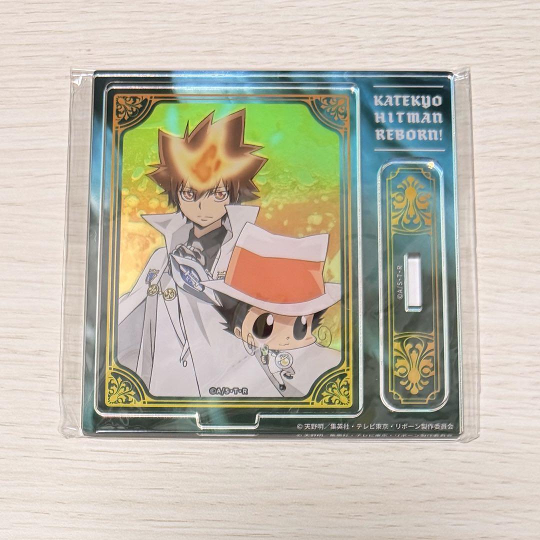 

[USED] Katekyo Hitman REBORN! Lottery Mate B Prize Sawada Tsunayoshi