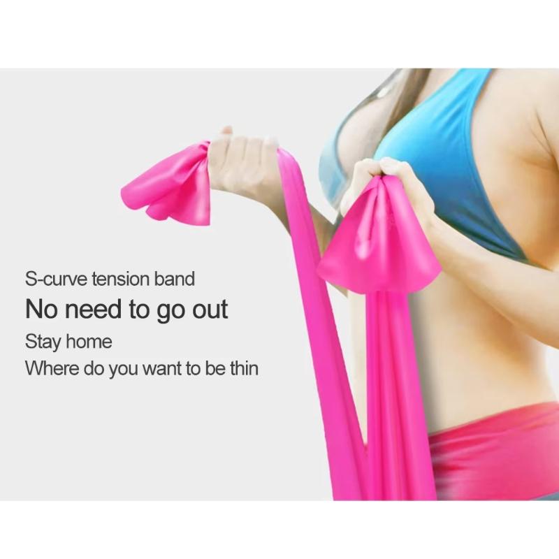 1/3 Professional Resistance Bands. Elastic Band, Work Out Bands, Stretch Bands for Working Out Women or Men, Exercise Bands Set