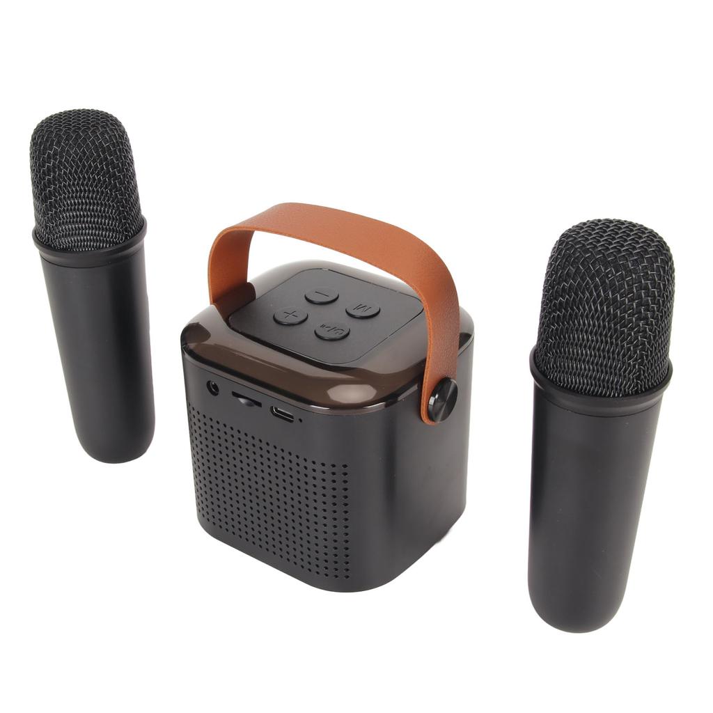 Mini Karaoke Machine Stereo Portable RGB Light Bluetooth Speaker with 2 Wireless Microphone for