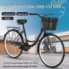 Flying Pigeon City Commuter Bicycle
