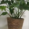 Nordic Style Hugging Plant Set: Woven Straw Flower Pot for Living Room & Balcony Decoration