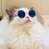 Round Pet Supplies Trend Toys Photos Props Pet Sunglasses Eye-wear Reflection Glasses Cat Glasses