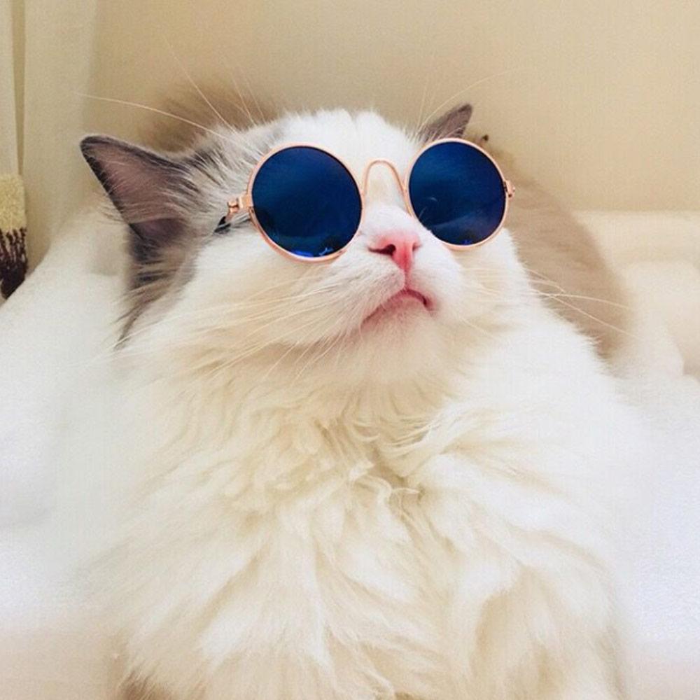 Round Pet Supplies Trend Toys Photos Props Pet Sunglasses Eye-wear Reflection Glasses Cat Glasses