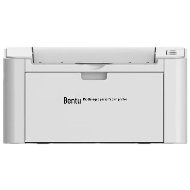 

Pantum P2505 Mono Laser Printer CN plug (adapter included)