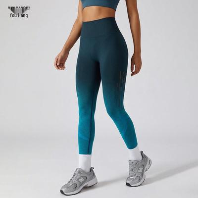 Gradient Series Seamless High Elastic Tummy Control Yoga Pants