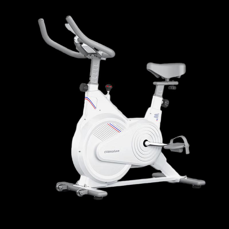 Yuanzu Home Exercise Spin Bike