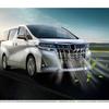 2015-2021 For Toyota Alphard Vellfire 30 Insect-Proof Grille Net Mosquito-Proof Water Tank Middle Net Front Face Modification