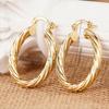 1 Pair, Fashionable, Simple, Versatile, Fresh Niche Earrings