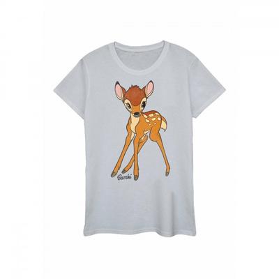 Womens/Ladies Classic Heather T-Shirt
