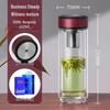 Insulated Double-Layer Glass Tea Cup with Infuser