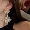 Sparkling Flower Pendant Earrings Paired with Teardrop Shaped Cubic Zirconia Zircon for Women's Birthday Party Gifts