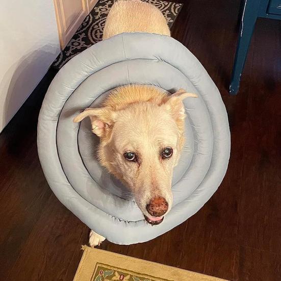 Collare Cono Morbido Regolabile a Ciambella con Coulisse Alternativa al Collare a Cono per Cani e Gatti di Taglia Grande, Media, Piccola Dopo l'Intervento