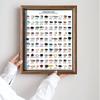 100 Kinds of Natural Ore Specimen Ornaments, with Glass Dust Cover, Decorative Paintings, Crystal Gems, Birthday Gifts