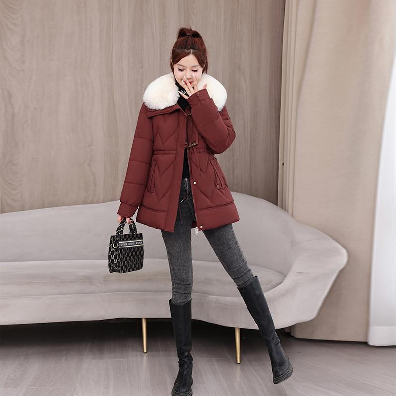 Herbst Winter Verdicken Warmer Parka Damen Lässig Einfarbig Große Tasche Locker Kurze Jacken Oberbekleidung