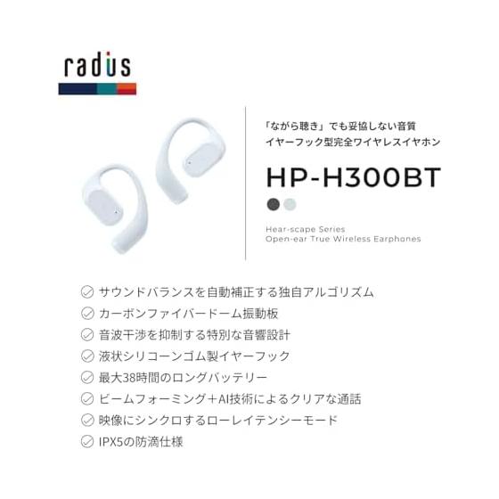 Radius HP-H300BT Completely Wireless Earphones: Hear-scape Series Bluetooth Compatible, Earhook Type, Listen while not blocking your ears, Compact,