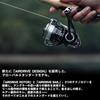 DAIWA (DAIWA) spinning reel 26FREAMS LT2000S-P