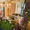 1.5M 3M 6M Garland Fairy LED Ball String Lights Waterproof For Christmas Tree Wedding Home Indoor Decoration Battery Powered