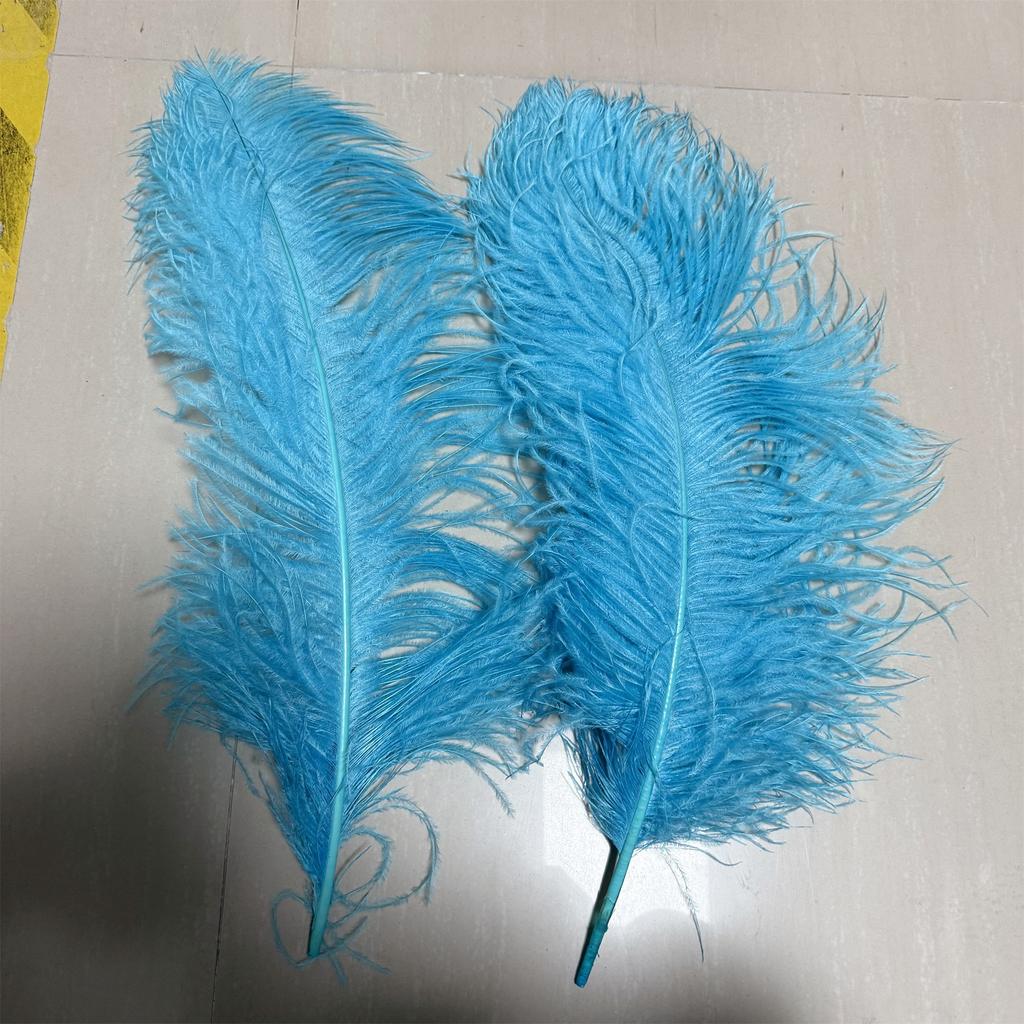 10pcslot 55-60cm Ostrich Feather for Crafts Party Wedding Decor Plumes Ostrich Table Centerpieces White Feathers Decoration