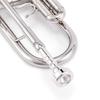 Eastar Trumpet in Bb, for Beginners, with Cleaning Accessories (Nickel Plated)