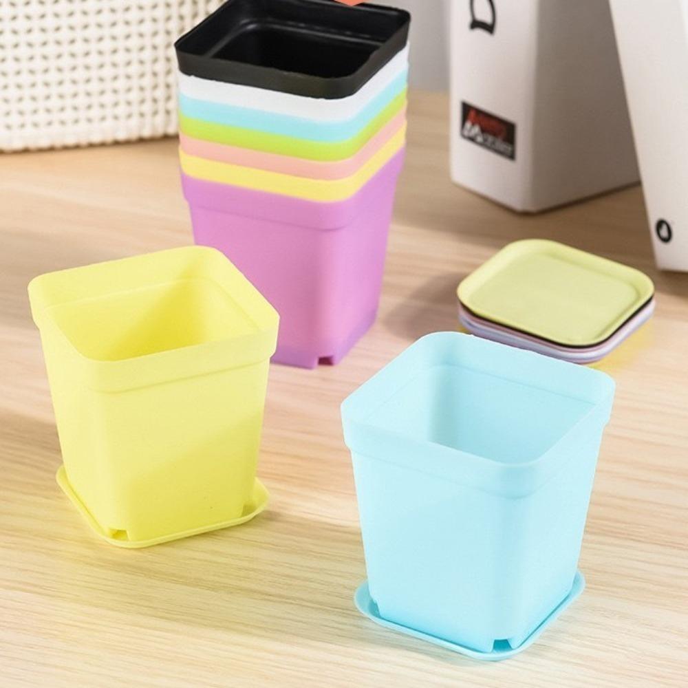 10pcs Flower Pot Small Square Pot Colorful Seedling Tray Gardening Succulent Pot Household