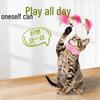 Kedi – Kedi Oyuncakları