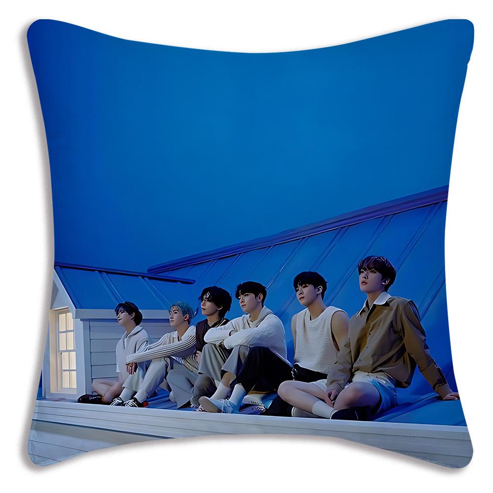 Cool Fashion Singer Korean Wave Pillow Covers Cartoon Sofa Decorative Home Double-sided Printing Short Plush Cute Cushion Cover
