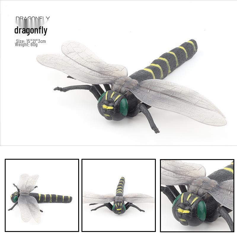 Large Insect Model Toy Set: Spider, Scorpion, Rhinoceros Beetle, Bee, Dragonfly