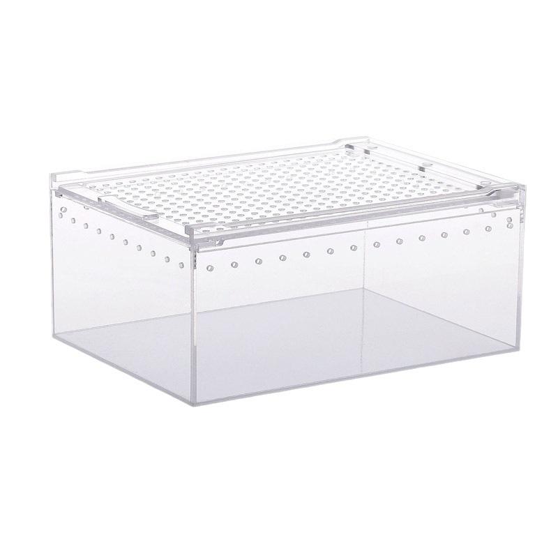 Lekdichte Acryl Reptielen Terrarium voor Slangen, Gekko's, Kikkers, Spinnen en Schildpadden