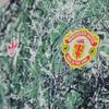 adidas originals Manchester United Stone Roses Originals Icon Jersey (Unisex) Soccer Jerseys IM8270