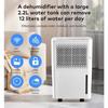 Pasapair Déshumidificateur Portable 12L Pour Des Pièces Jusqu'à 120m³20 M²,3 Modes,Affichage numérique,Capteur d'humidité,Arrêt