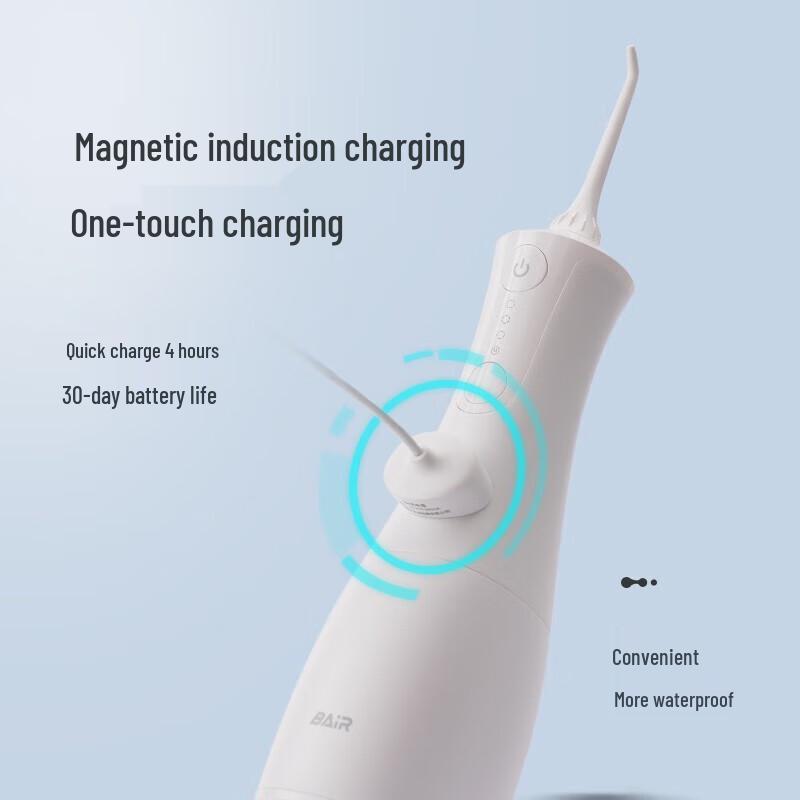 Bayer M301 Professional Electric Water Flosser CN plug (adapter included)