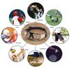 Optical Frame Sports Glasses Eye Protective Basketball Glasses Outdoors Safety Goggles