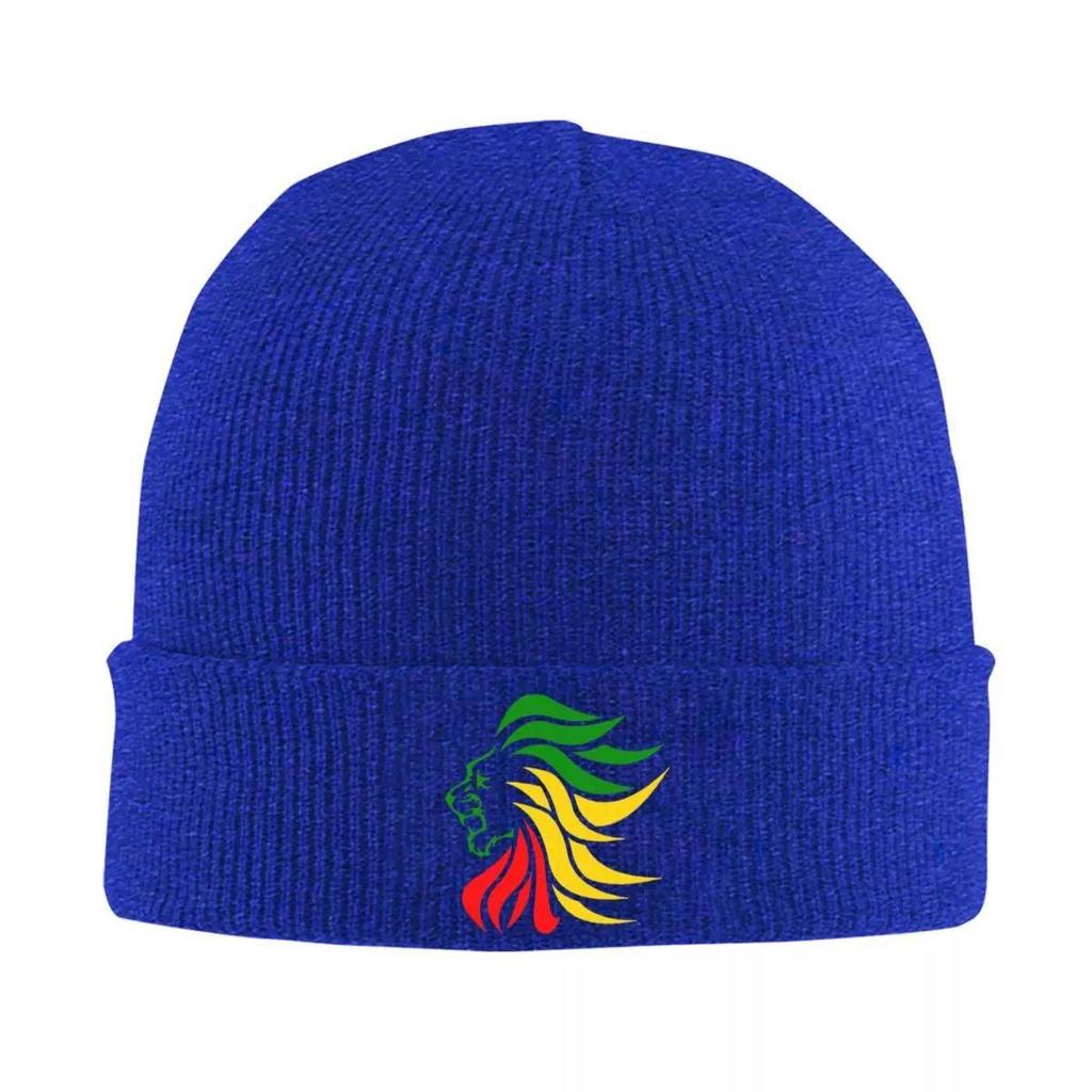 Rasta Lion Rastafari Jamaica Judah Knitted Caps Women's Men's Skullies Beanies Winter Hats Acrylic Hip Hop Cap
