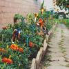 1PC Solar Powered Fluttering Hummingbird Butterfly Wobble Garden Decor Solar Garden Stakes Yard Decor For Patio Yard Flower Bed
