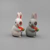 12Pcs Cute Mini Rabbit Decoration Miniature Hare Animal Figurine Bunny Garden Ornament Micro Landschaft Craft Accessories