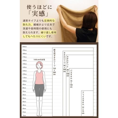 Microfiber Face Towels, 35x75cm, 256 Momme, 10-Piece Set, Mocha Towel Set, for Salons, Home Use, and Hotels. Lightweight and absorbent, these towels a