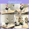Butterfly Orchid Faux Flower With Plastic And Soft Gel Material For Restaurant Table Decor