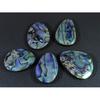 5Pcs Abalone Shell Fancy Cabochon Loose Natural Gemstone 210Cts. Lot 29-32MM C-1714