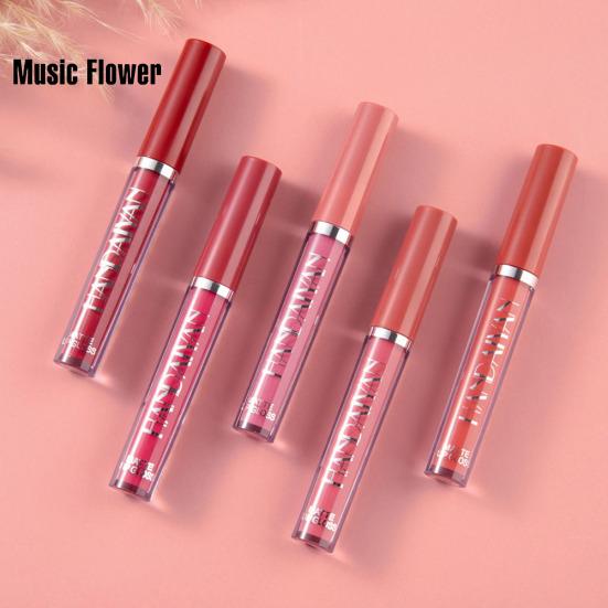 Matte Waterproof Long Lasting Moisturizing Moisturizing Advanced Lip Gloss Non Sticky Lipstick