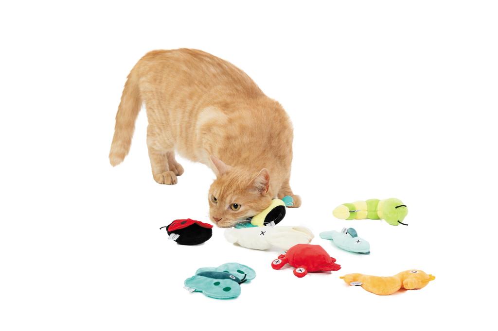 FAD+ Katzenspielzeug, Blauer Schmetterling Mini, PTFAP3108