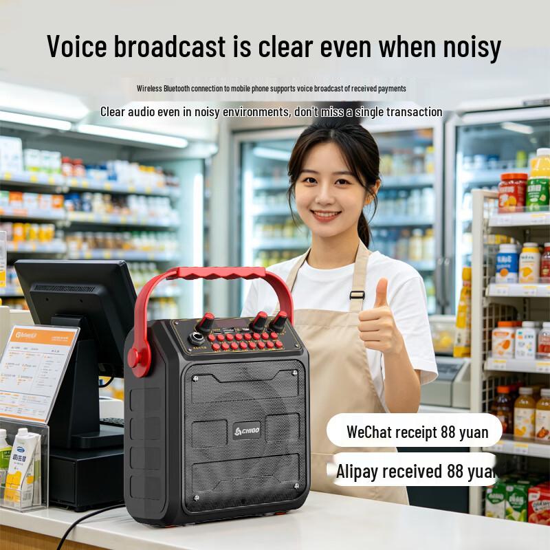 CHIGO Portable Bluetooth K-Song Speaker (CN version)
