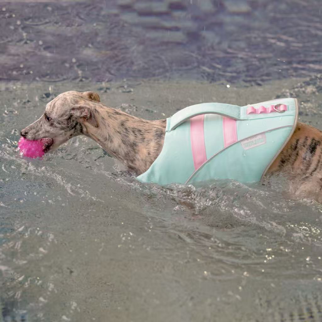 Custom Adjustable Neck Chest Straps Hidden Buckle High Buoyancy Anti-UV Waterproof Dog Life Jacket for Summer Water Sports