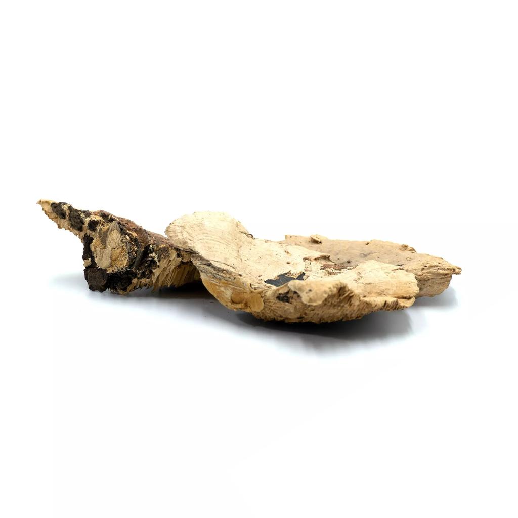 BioHub Natural Huba 6 Pcs In a Package