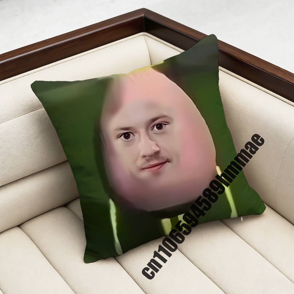 For 45X45Cm 40X40Cm British Actor J-Joseph Quinn Cat Throw Pillow Case Sham Square Car Pillowcase Pad Cushion Cover
