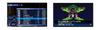 Devil Soul Hackers 3DS Beschwörer -