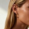 18K Gold Titanium Steel Hoop Earrings Minimalist Luxury Premium 316 Stainless Steel Earrings Plain Band Ear Jewelry For Women