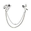 Adjustable Nipple Clamps Double-Chain Breasts Clips Sex Toys Couples Stimulate Fetish Role Play & Intimate Foreplay Sex Toys