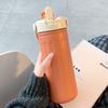 2026 Girls' Portable Thermos Cup with Straw - Stylish, Compact Design for Office Use